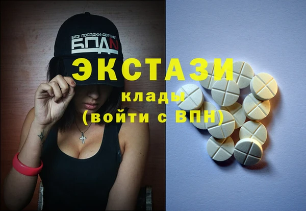 индика Приозерск
