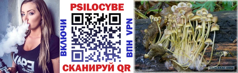 Псилоцибиновые грибы GOLDEN TEACHER  Тихорецк 