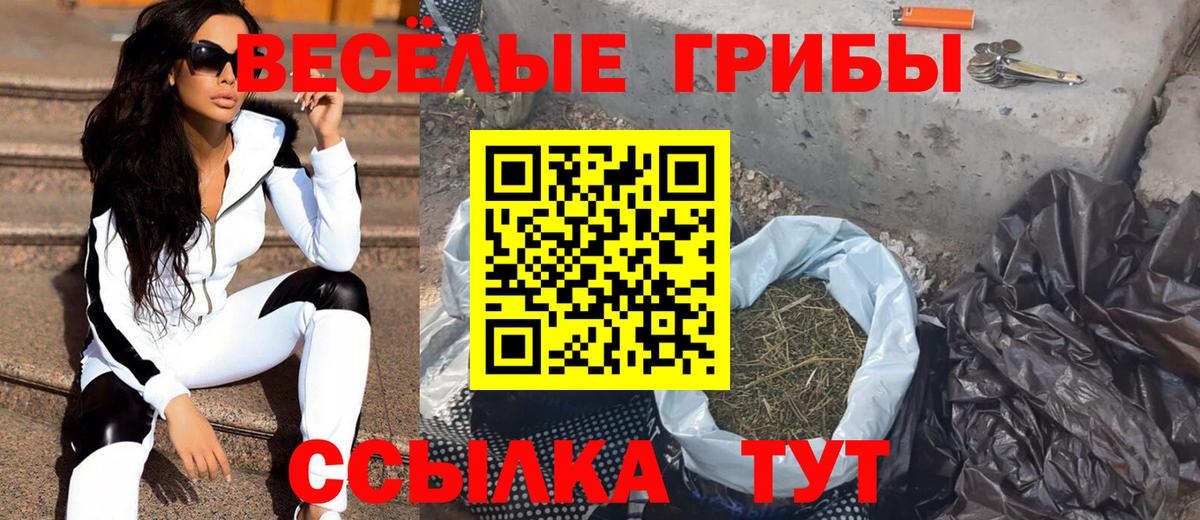 Тихорецк  Галлюциногенные грибы Psilocybe  где купить   Галлюциногенные грибы GOLDEN TEACHER  Вход с VPN 