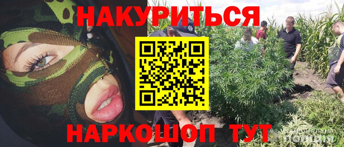 Бошки Шишки OG Kush  Марихуана план  Каннабис VHQ  Тихорецк  Вход с VPN  Бошки Шишки THC 21% 